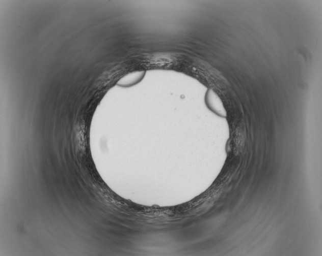 X0000111391394200908211351