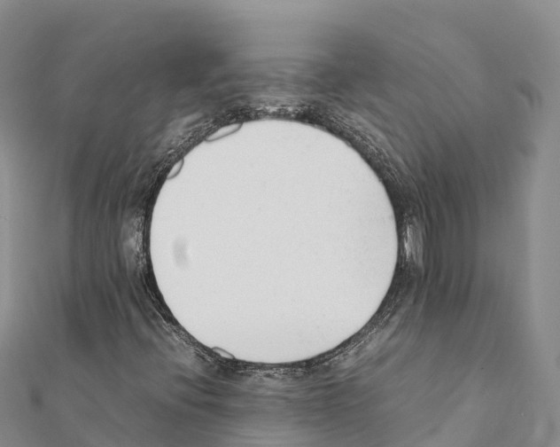 X0000111391396200908211351