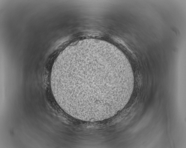 X0000111391399200908211352