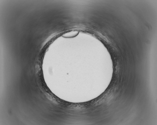 X0000111391400200908211352