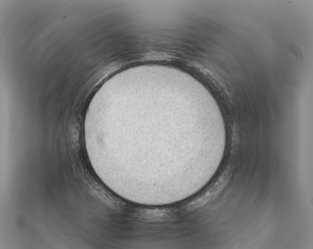 X0000111391401200908211352