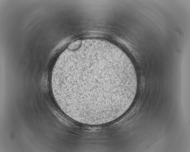 X0000111391403200908211352