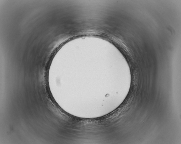 X0000111391404200908211352