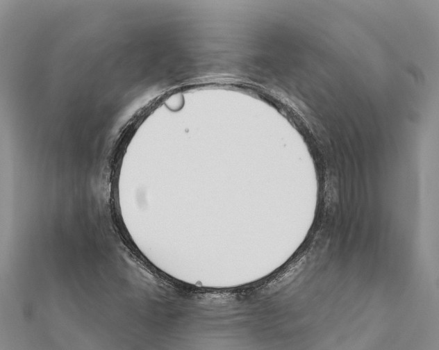 X0000111391406200908211352