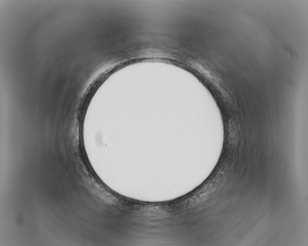 X0000111391408200908211352