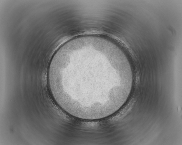 X0000111391409200908211352