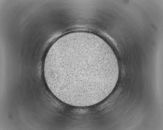 X0000111391411200908211352