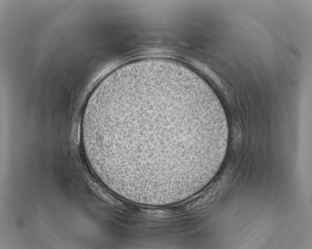 X0000111391413200908211352