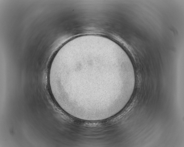 X0000111391415200908211352