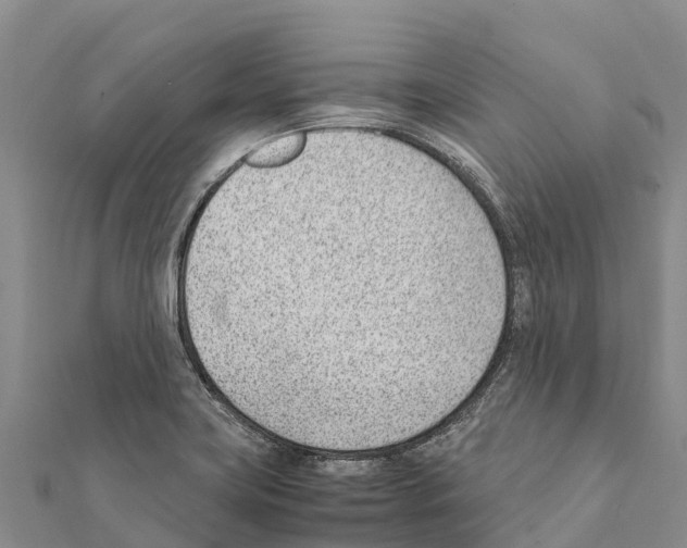 X0000111391419200908211352