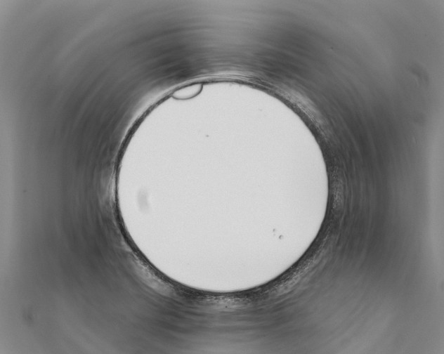 X0000111391420200908211352