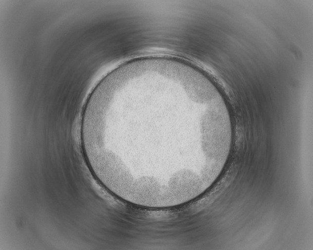 X0000111391421200908211352
