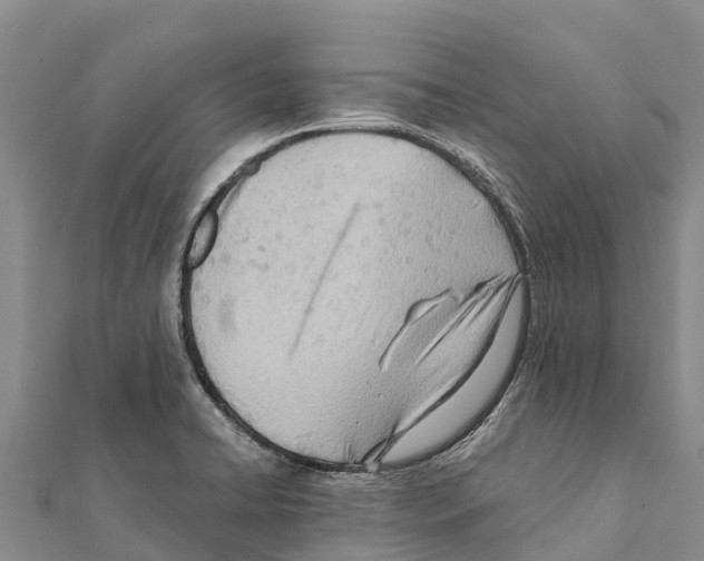 X0000111391422200908211352