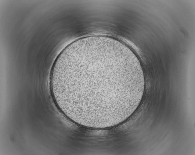 X0000111391423200908211352
