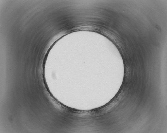 X0000111391426200908211352