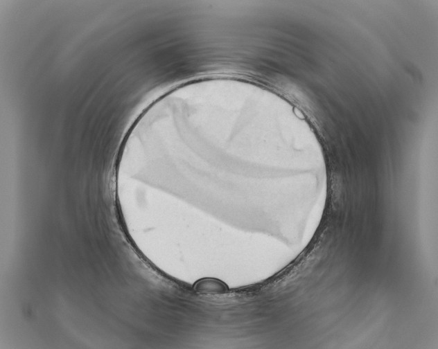 X0000111391428200908211352