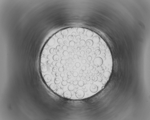 X0000111391432200908211352