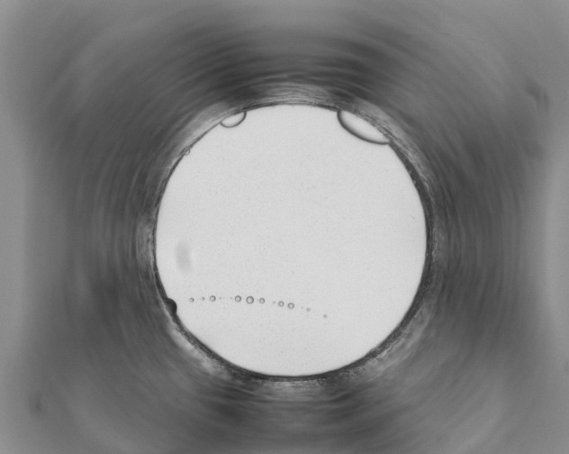 X0000111391433200908211352