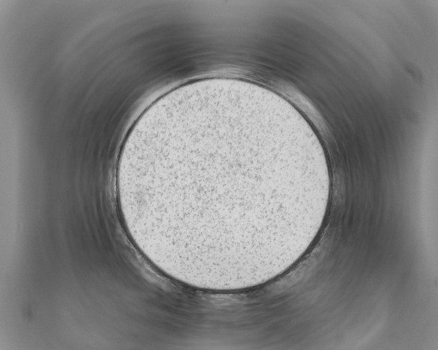 X0000111391436200908211352