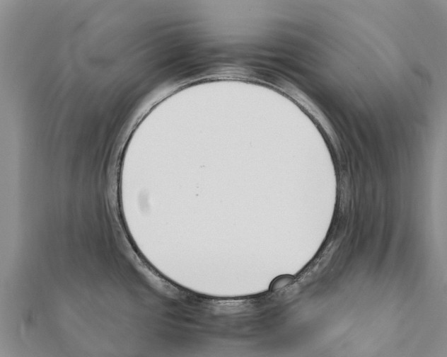 X0000111391437200908211352