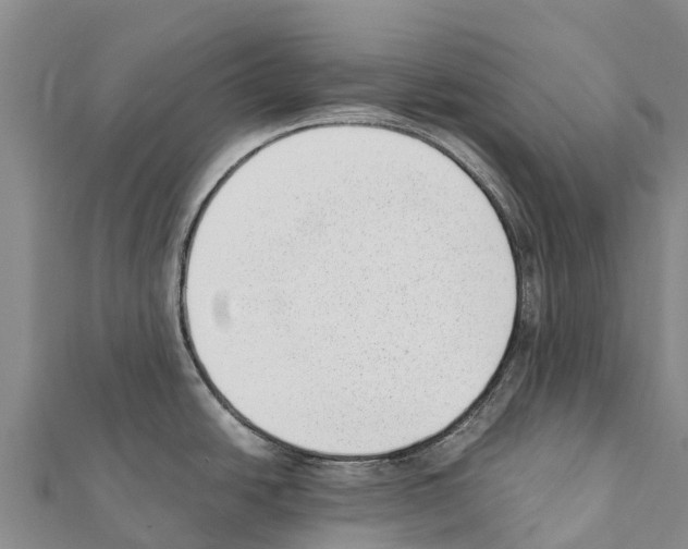 X0000111391438200908211352
