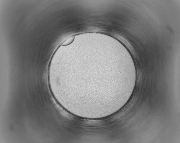 X0000111391439200908211352