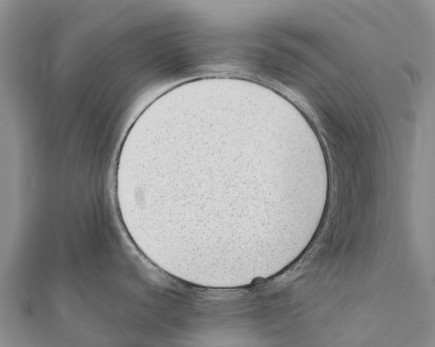 X0000111391440200908211352