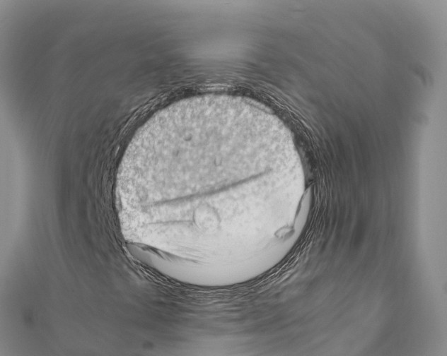 X0000111391441200908211351