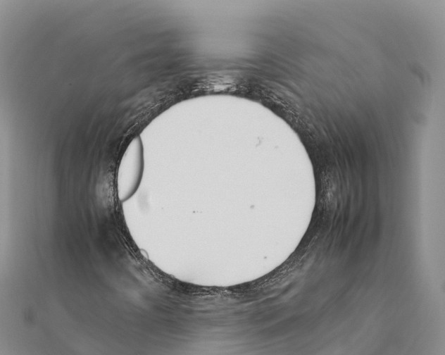 X0000111391442200908211351