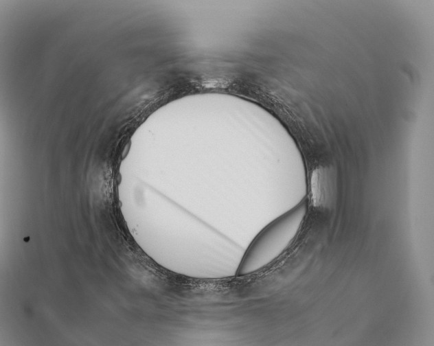 X0000111391443200908211351