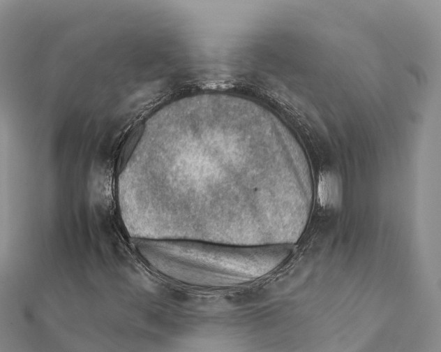 X0000111391444200908211351