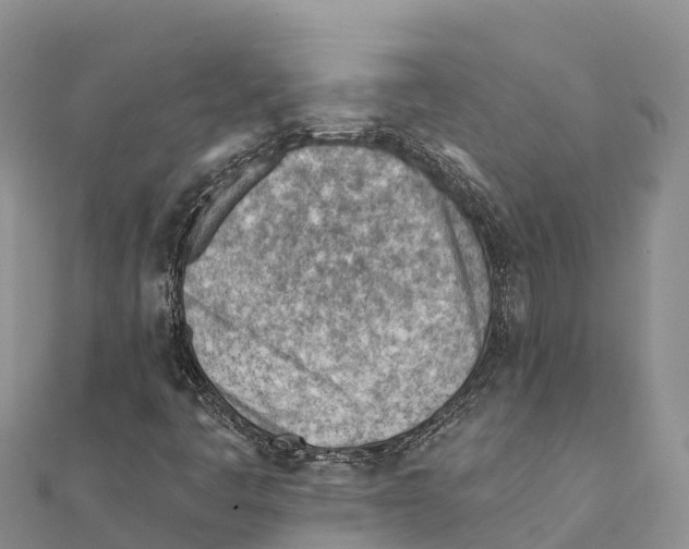 X0000111391445200908211351