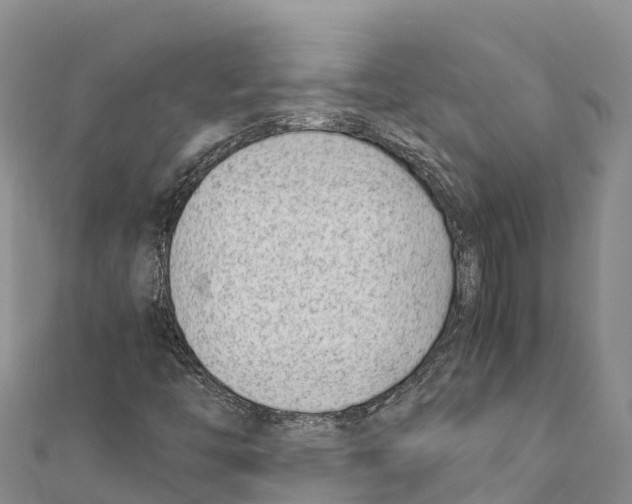 X0000111391446200908211351
