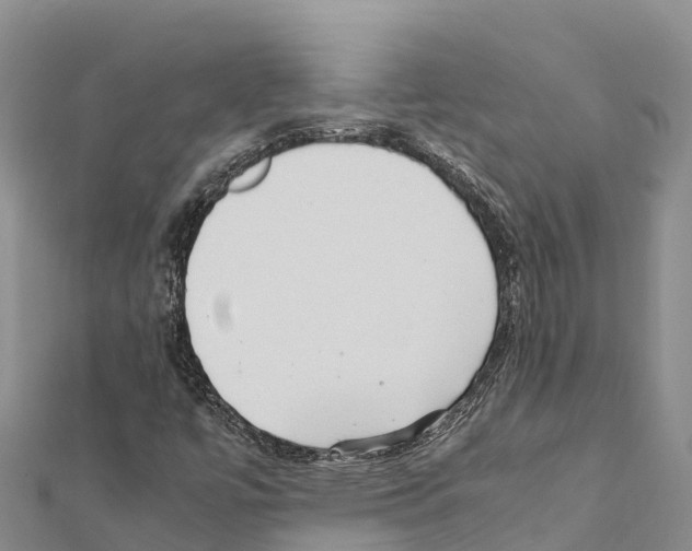 X0000111391447200908211351