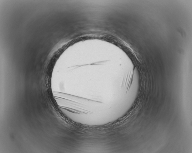 X0000111391448200908211351