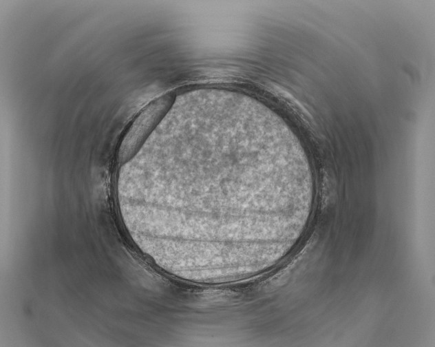 X0000111391449200908211351