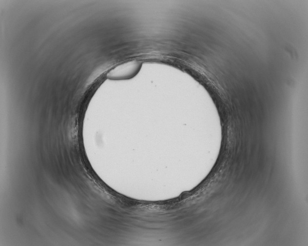 X0000111391450200908211351