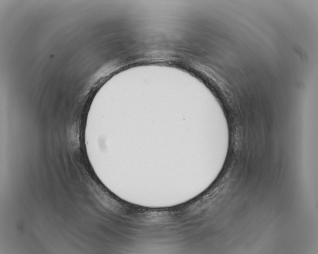 X0000111391451200908211351