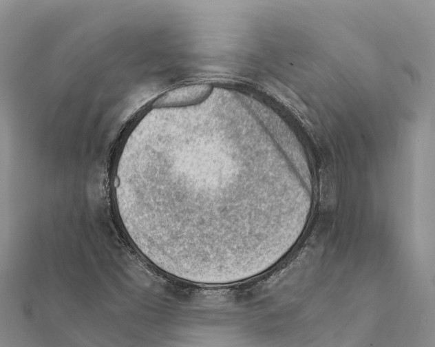 X0000111391453200908211351