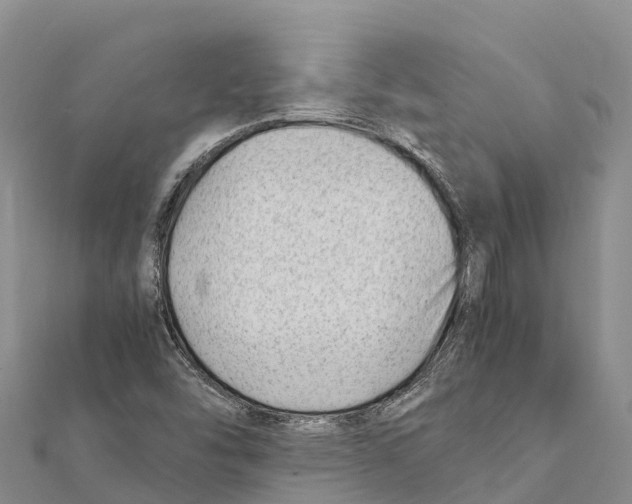 X0000111391454200908211351
