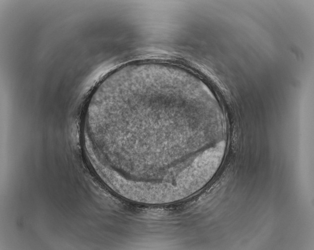 X0000111391455200908211351