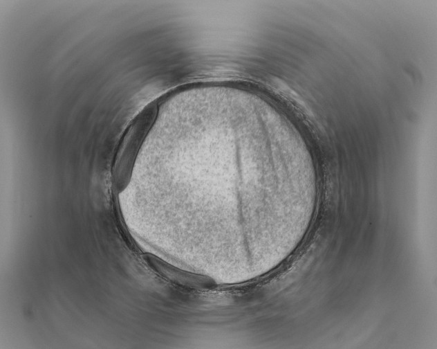 X0000111391457200908211351