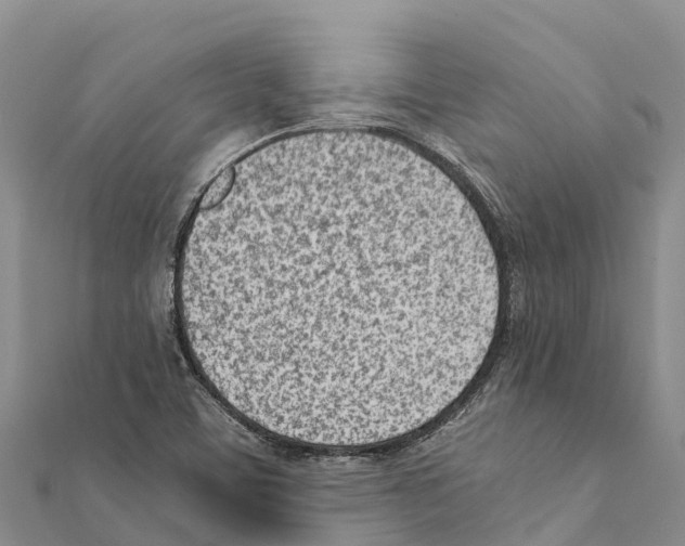 X0000111391459200908211351