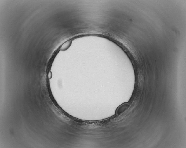X0000111391460200908211351