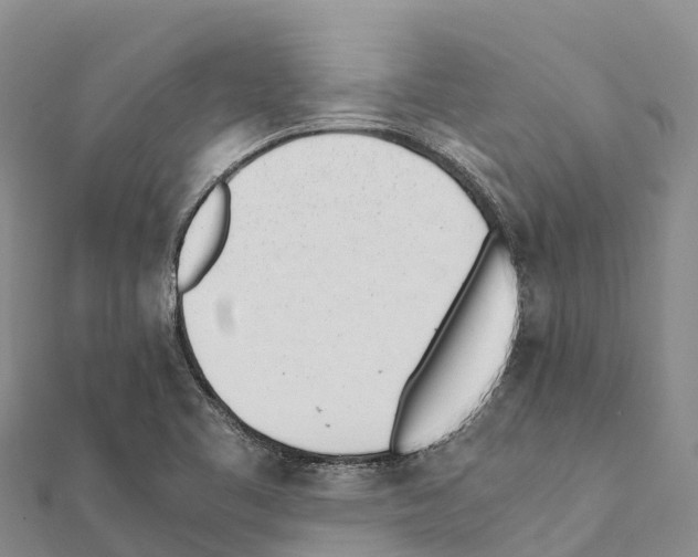 X0000111391461200908211351