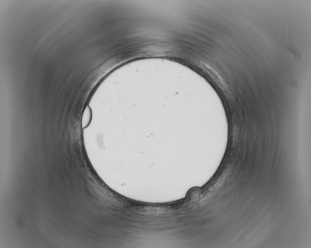X0000111391465200908211351