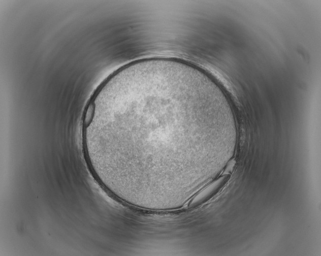 X0000111391468200908211351