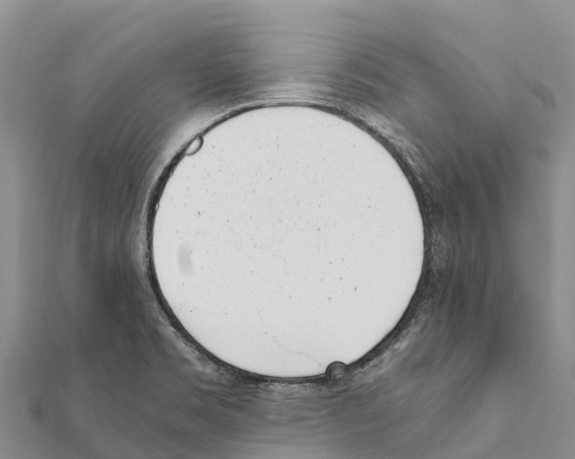 X0000111391469200908211351