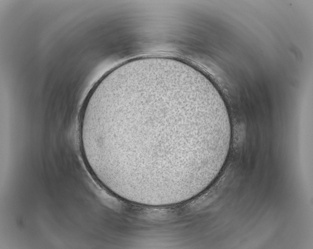 X0000111391470200908211351