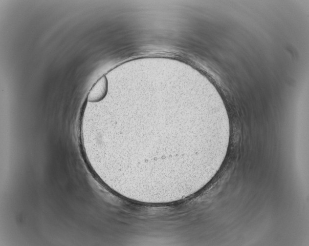 X0000111391471200908211351